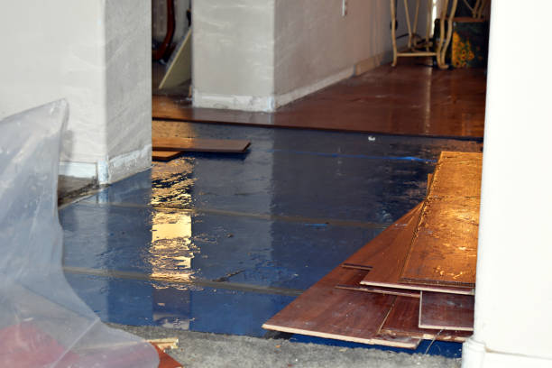 Professional Sewage Cleanup technician working in Farmland, IN